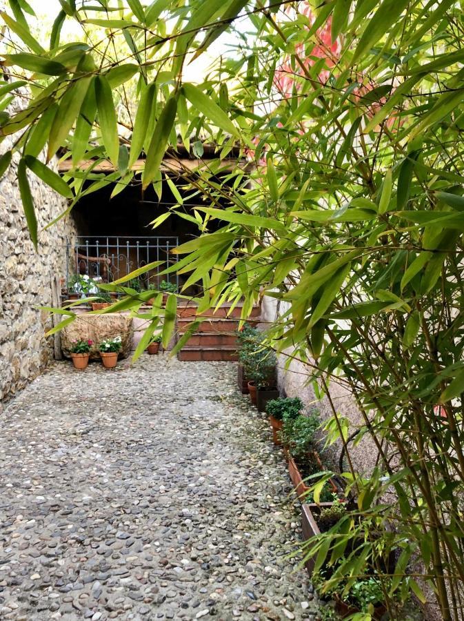La Posada De Lola El Molar Buitenkant foto